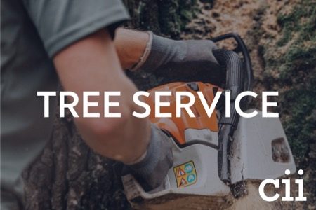 tree service
